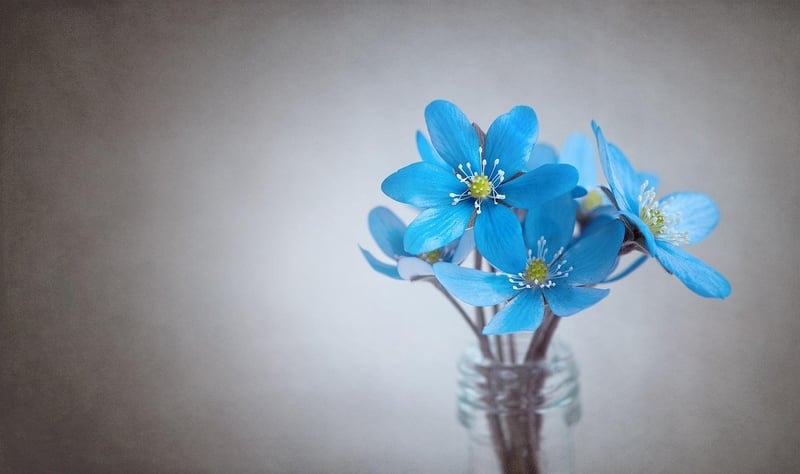 Vibrant Flower Bouquet